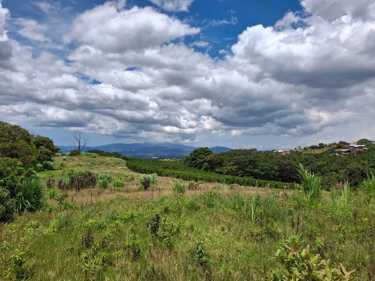 Flat Development Parcel: 4 ha Prime Flat Land - photo 9
