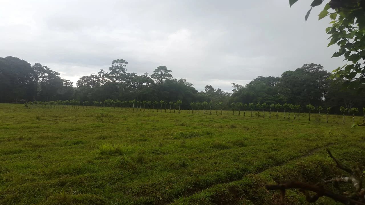 Countryside Development Parcel For Sale in Cariari - photo 21