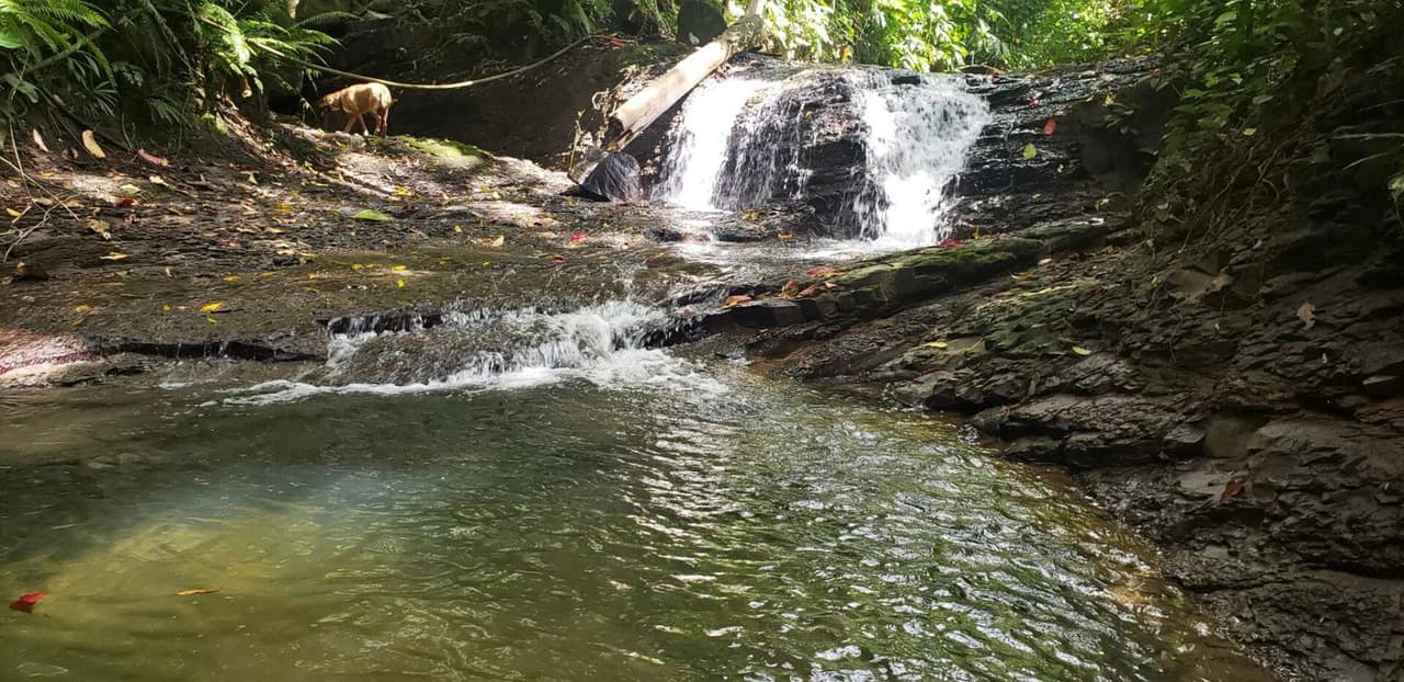 10 ACRES – Rare Ocean View Development Or Estate Property In Uvita – With Waterfall!!! - photo 6