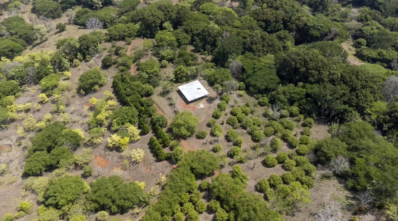 Farm for sale in Puntarenas Lepanto Costa Rica - photo 2