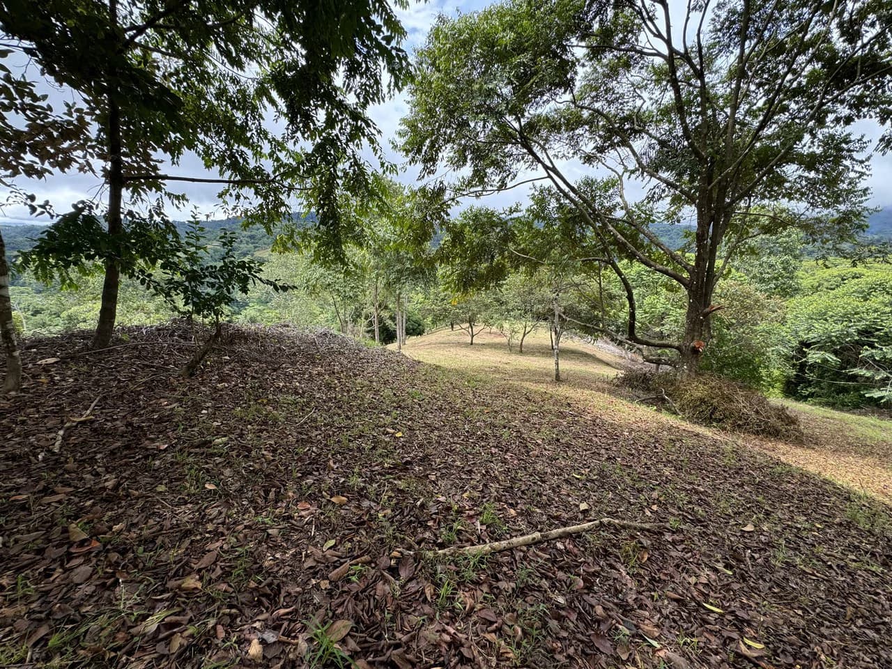 Diamante Waterfall View Land in Dominical 2.9 Acres - photo 19