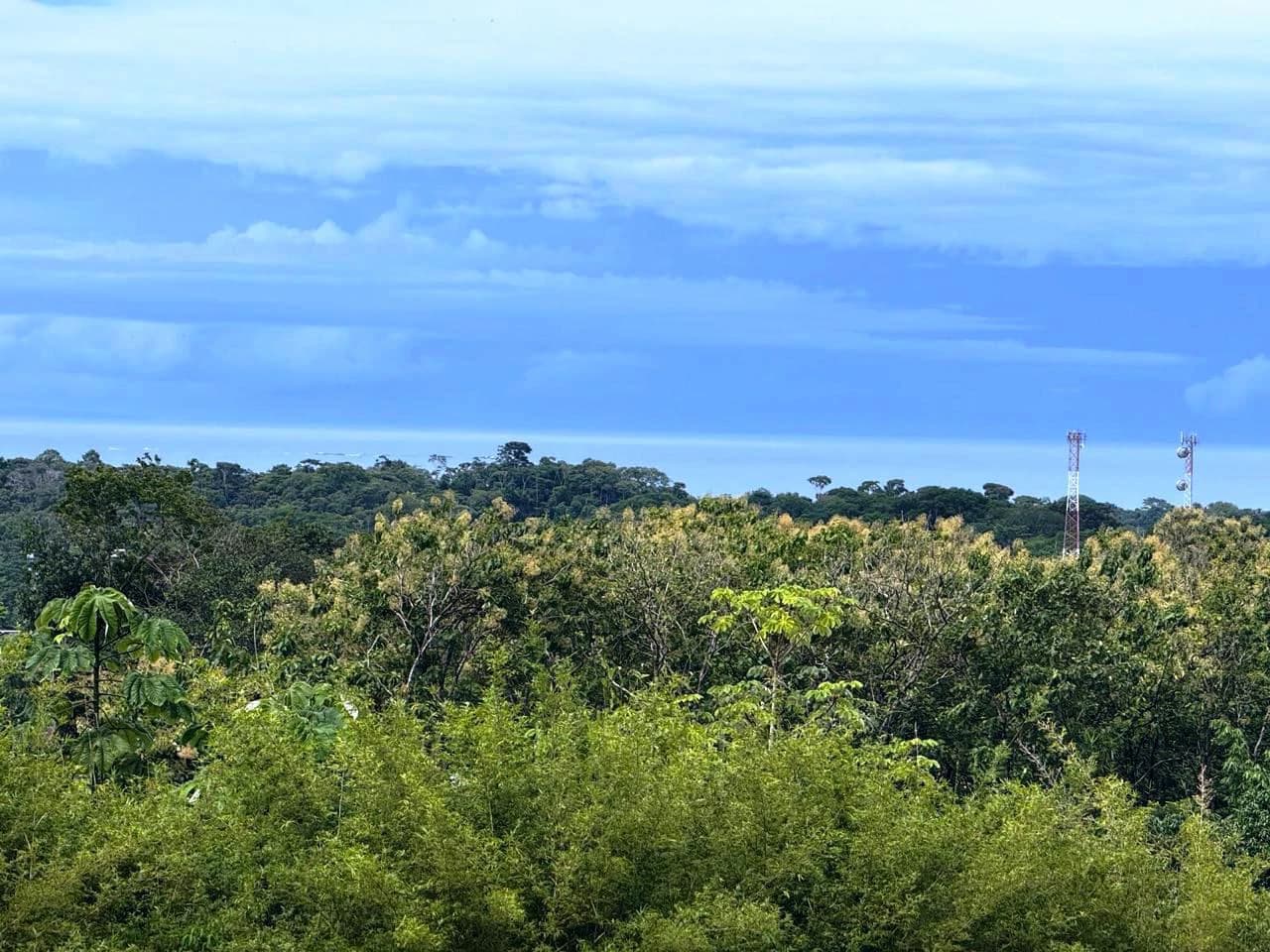 Prime Ocean View Development Property in Downtown Uvita - photo 8