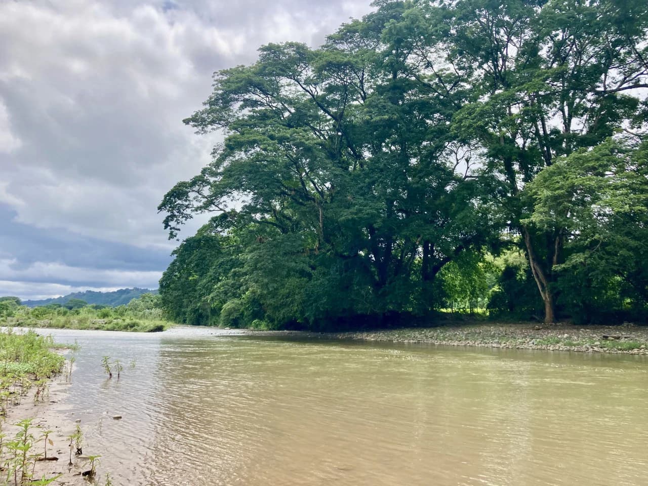 Frog Desing House: Property for Sale in Parrita, Costa Rica - photo 35