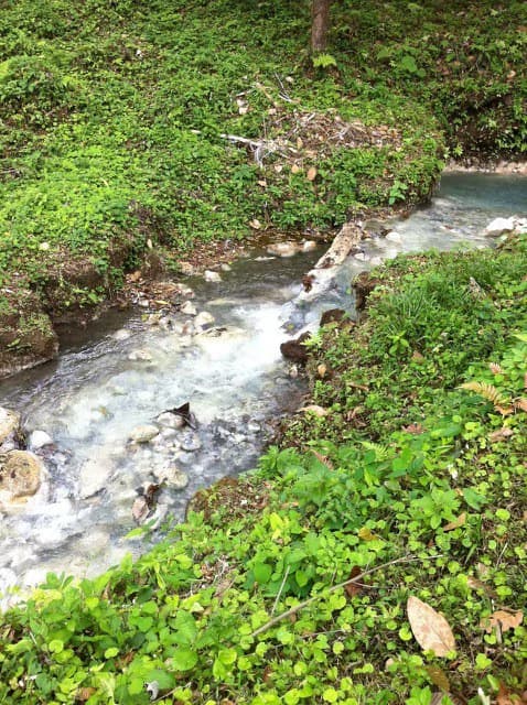 Hot and Cold Thermal Springs for Sale – Beautiful Property in Dos Ríos, Alajuela with Excellent Commercial Potential - photo 87