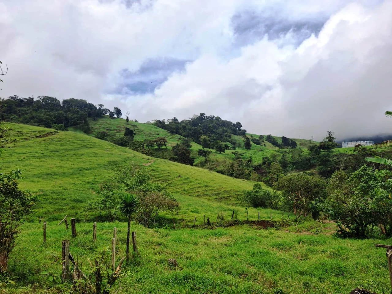 INVESTOR & DEVELOPER ALERT: High-Visibility Investment Property in the Heart of Tourist-Friendly Zarcero - photo 1