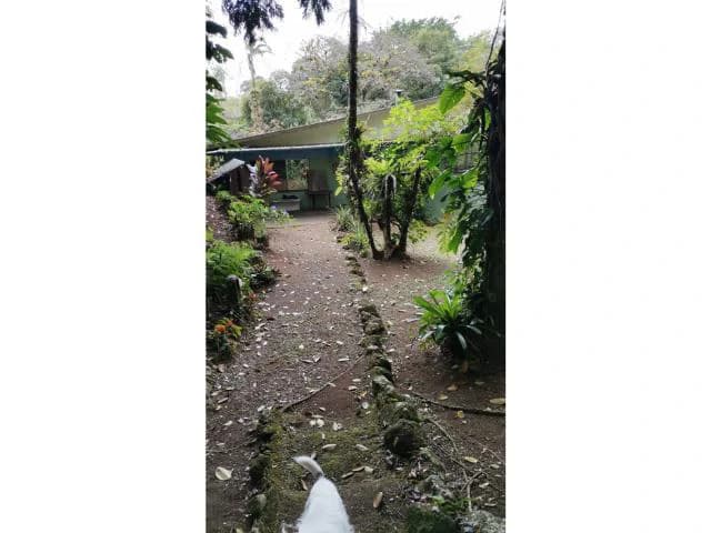 Countryside, Lakefront and Mountain House For Sale in Arenal - photo 12