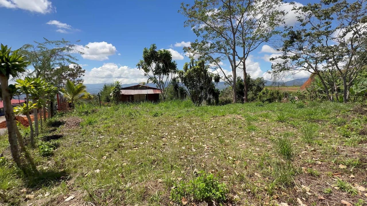 Property For Sale in Miravalles - photo 5