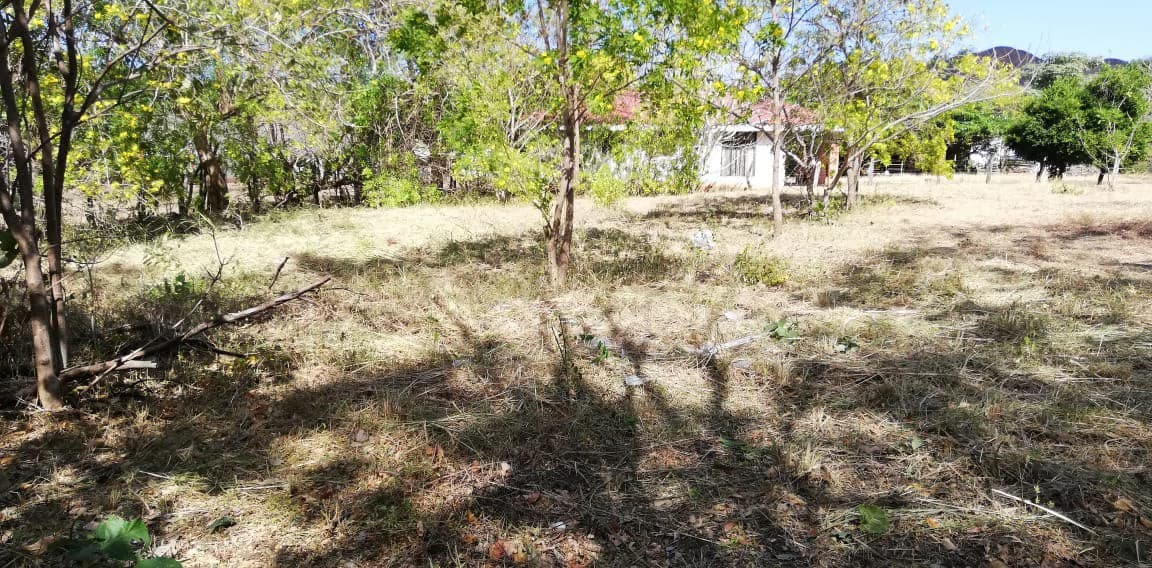 Property in Coco Beach - photo 10