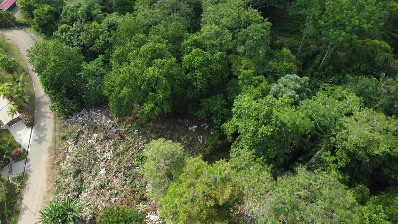 Ojochal - 1 Acre Ready To Build Jungle Lot, Ocean Breezes in Wildlife Corridore - photo 5
