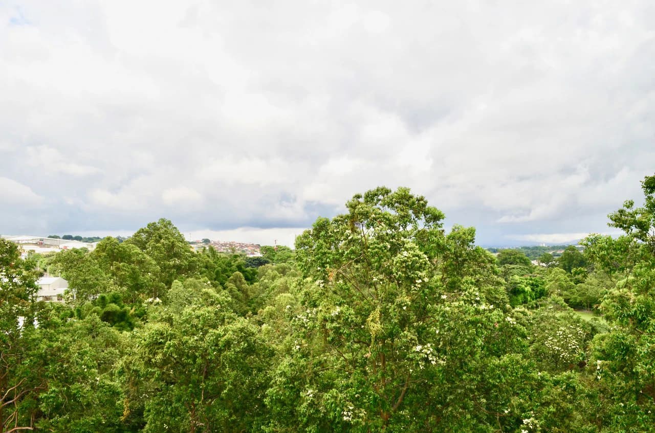 Apartment For Sale in Ulloa - photo 20