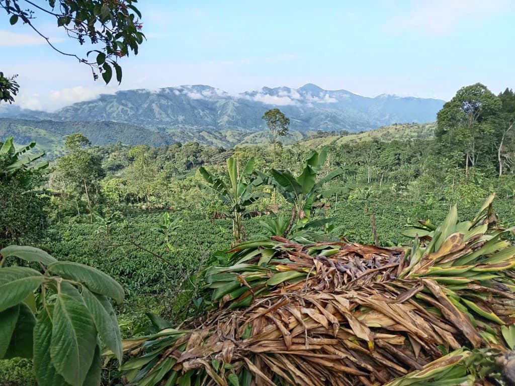 CAPTIVATING OCEAN AND PANORAMIC MOUNTAIN VIEW FINCA IN PURISCAL - photo 9