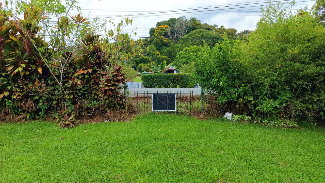 LOTE PLANO CON FRUTALES: Mountain Home Construction Site For Sale in General Viejo - photo 9