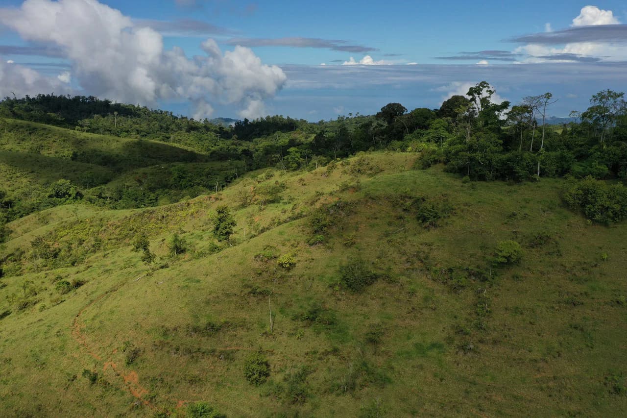 47 Acre Off Grid Ranch with Ocean & Mountain Views San Lorenzo Perez Zeledón - photo 3