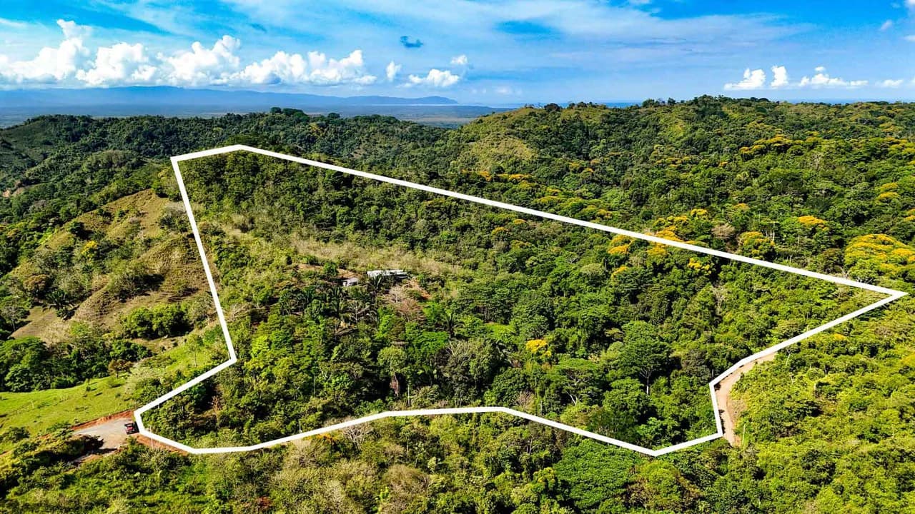 32 Acre Self Sustainable Farm with House Close Ojochal - photo 61