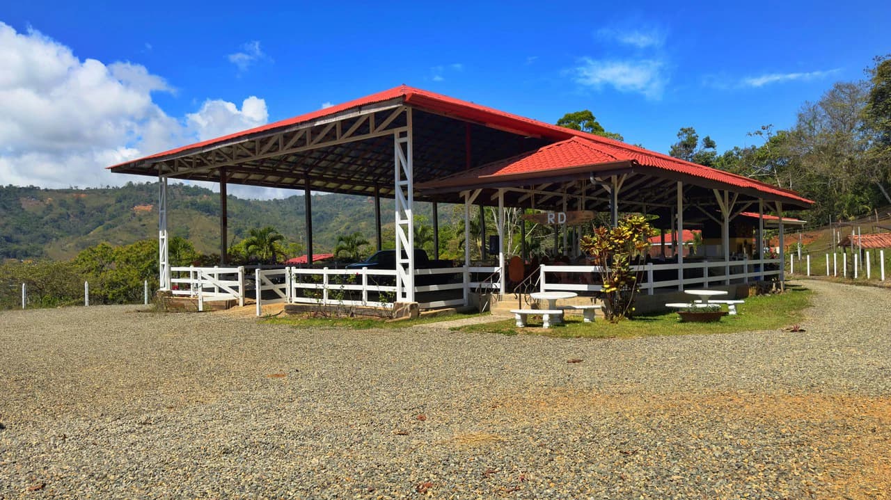 Agricultural Land For Sale in Daniel Flores - photo 31