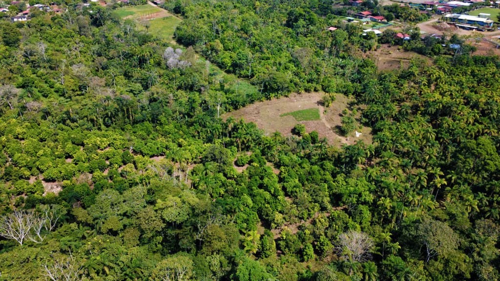 Countryside Agricultural Land For Sale in Pueblo Nuevo - photo 3