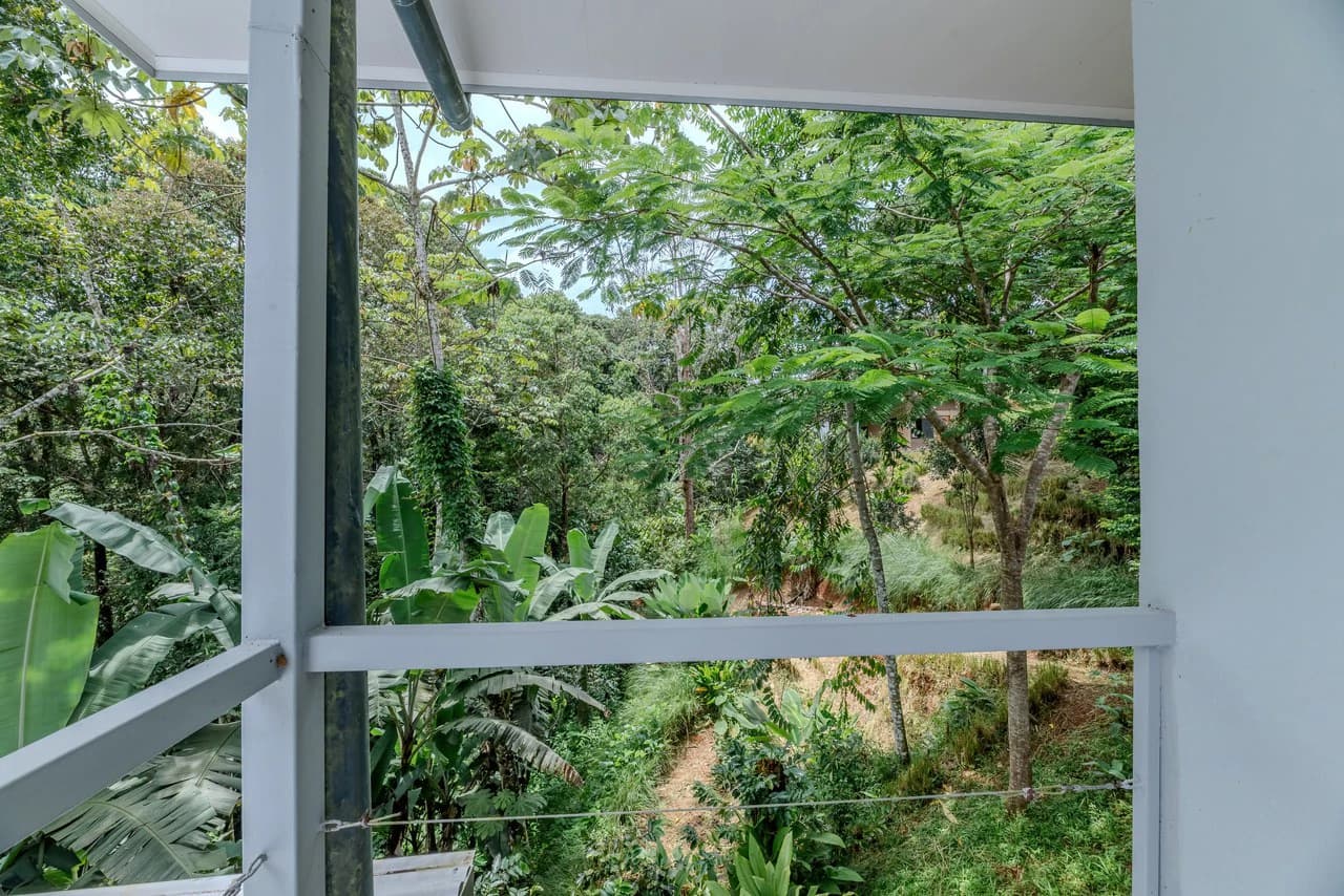 Multi-Family Compound, 4 Fully Furnished Units | 15 Minutes to the Beach - photo 21