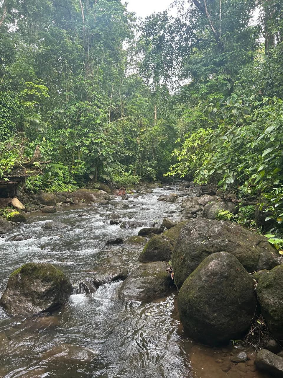 Incredible Building Lot: Riverfront Home Construction Site For Sale in Peñas Blancas - photo 11