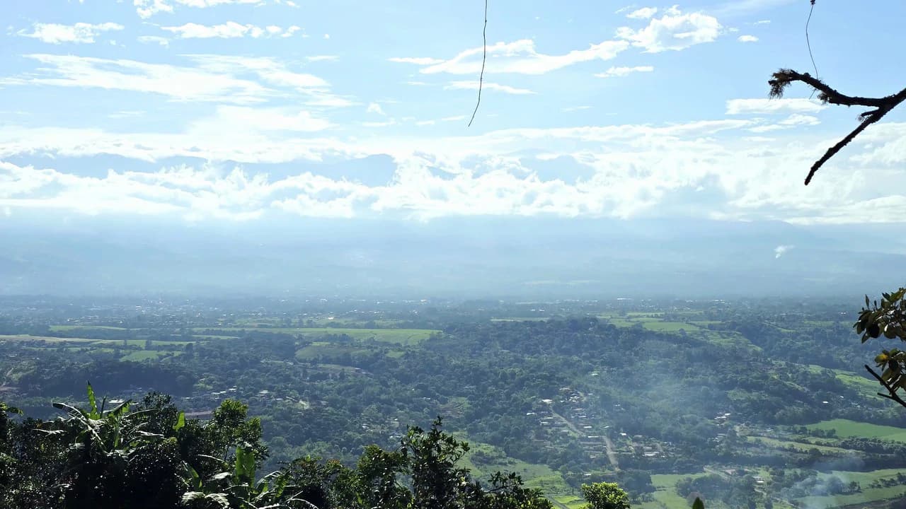 Mountain Agricultural Land For Sale in San Isidro del General - photo 11