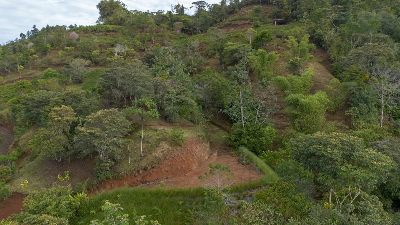 10.21 Acres with Views & Plantels – Pérez Zeledón - photo 21