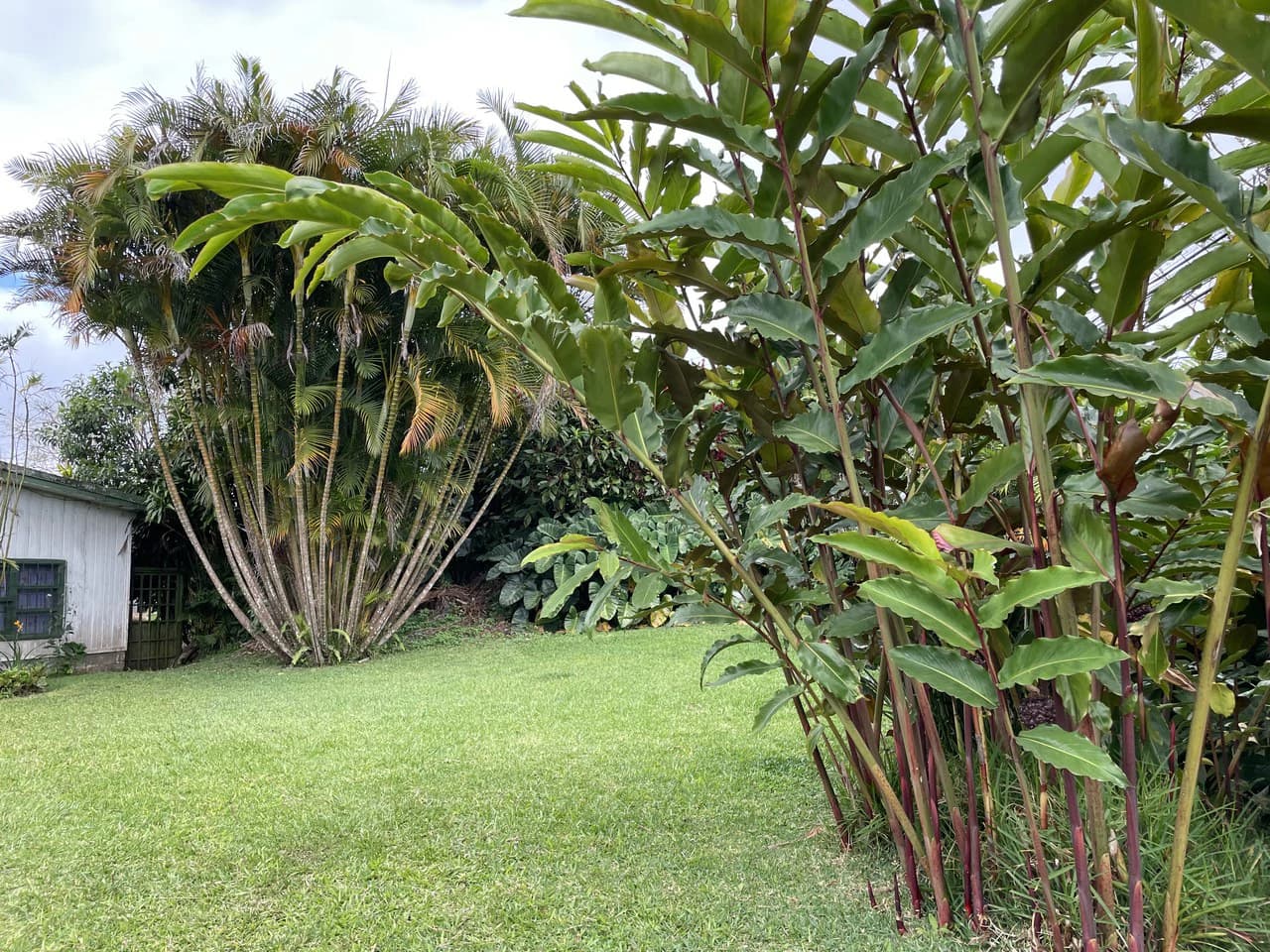 Location Location Location. Coronado, San José, Costa Rica - photo 3