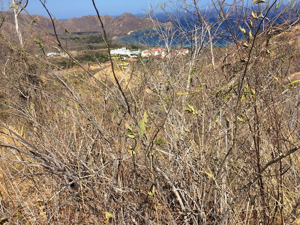 Ocean view property in the area of Guanacaste, great commercial opportunity near the Hotel Riu - photo 21