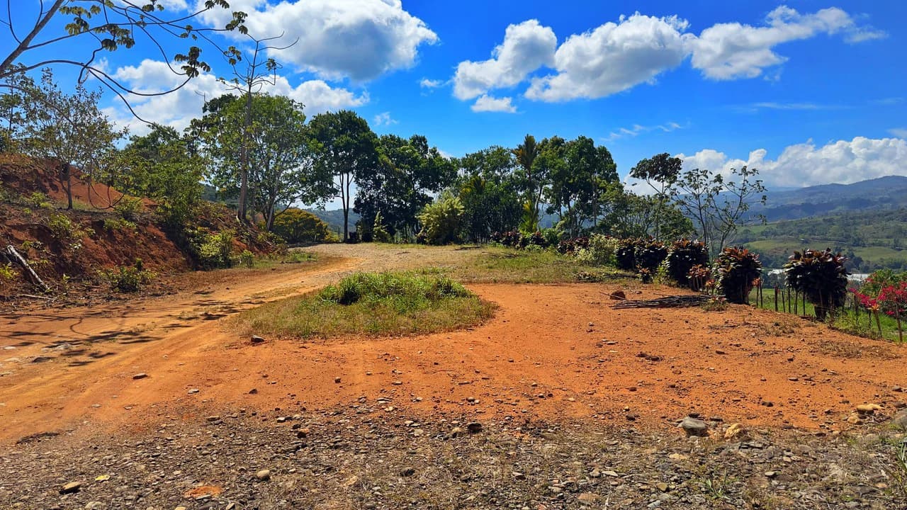 Agricultural Land For Sale in Daniel Flores - photo 22