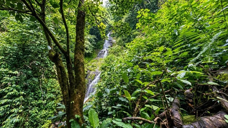 116-Hectare Finca for Sale Near Uvita with Whales Tail Views and 10 Waterfalls | La Faralla, Bahia Ballena, Uvita, Puntarenas, Costa Rica - photo 11