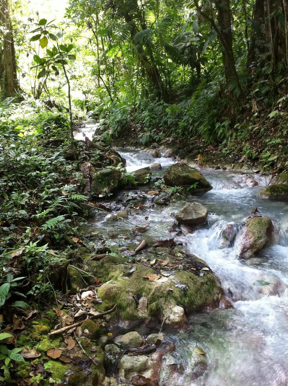 Hot and Cold Thermal Springs for Sale – Beautiful Property in Dos Ríos, Alajuela with Excellent Commercial Potential - photo 79