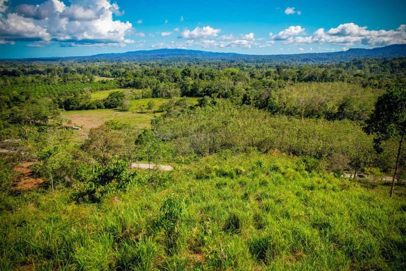 Ocean View & Primary forest 55-ha Rincon de Osa - photo 28