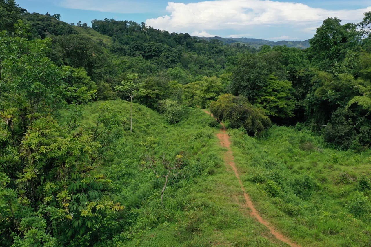 19 Acre Riverfront Lot with Private Waterfall la Perla Dominical - photo 3