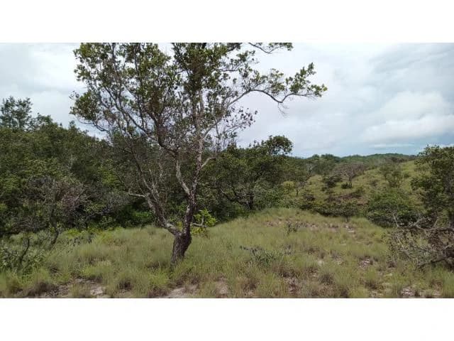Huge Tico-Farm for sale with a big house in the mountains of Liberia, surrounded by nature and fantastic valley views - photo 34