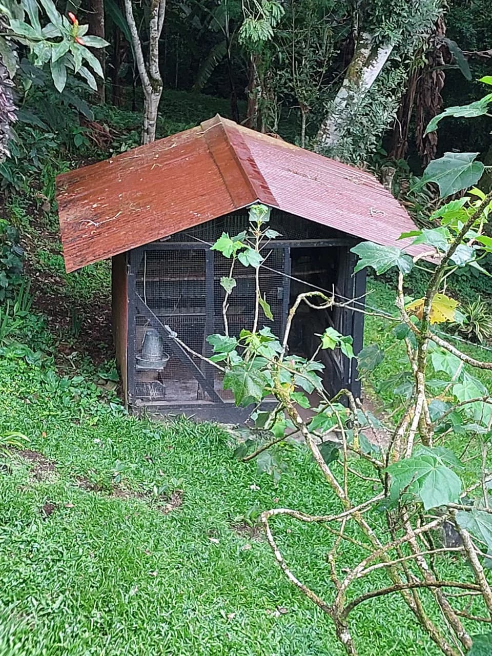 VILLA ESPERANZA - Natures Haven on Earth - photo 32
