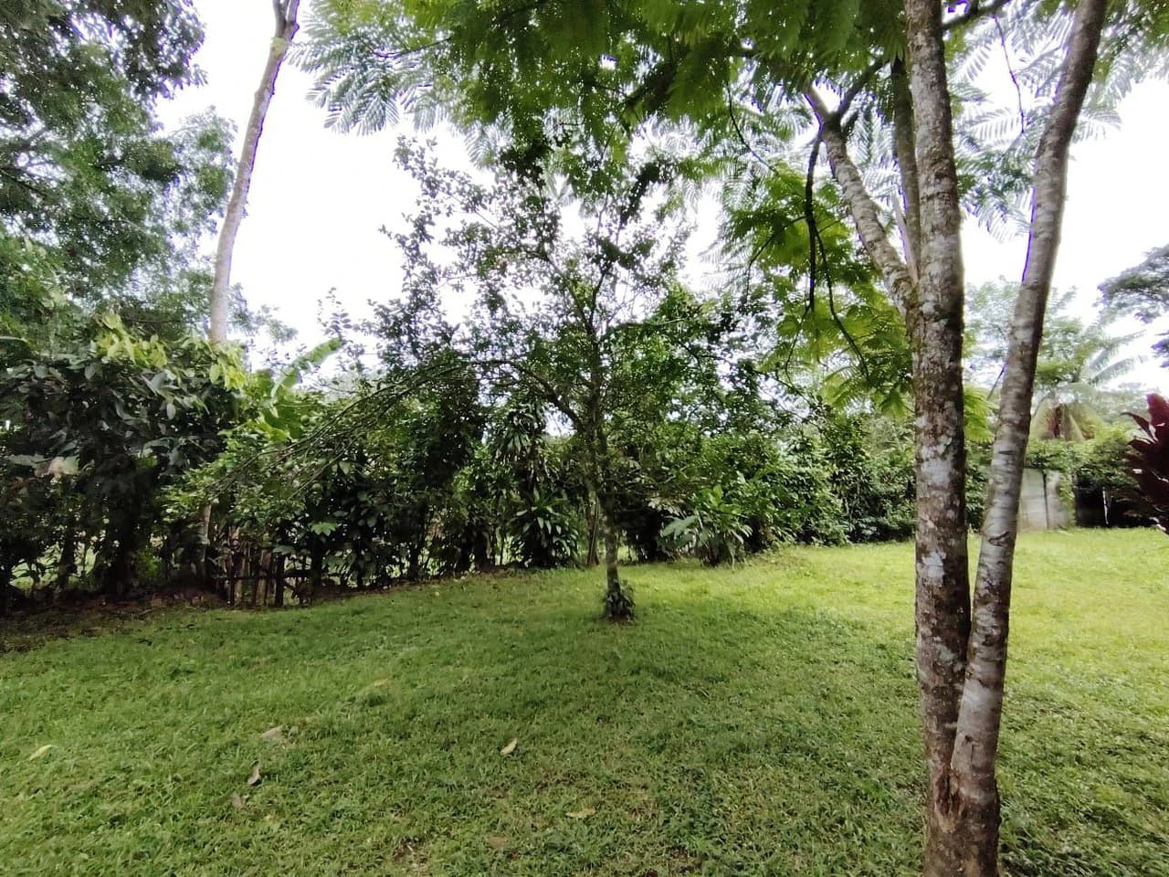 Propiedad en venta, General Viejo, Perez Zeledon.: Mountain House For Sale in General Viejo - photo 2
