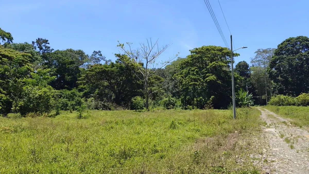ID 924: El Cortijo: El Cortijo - Residential Lots for Sale in Hone Creek Near Puerto Viejo - photo 12