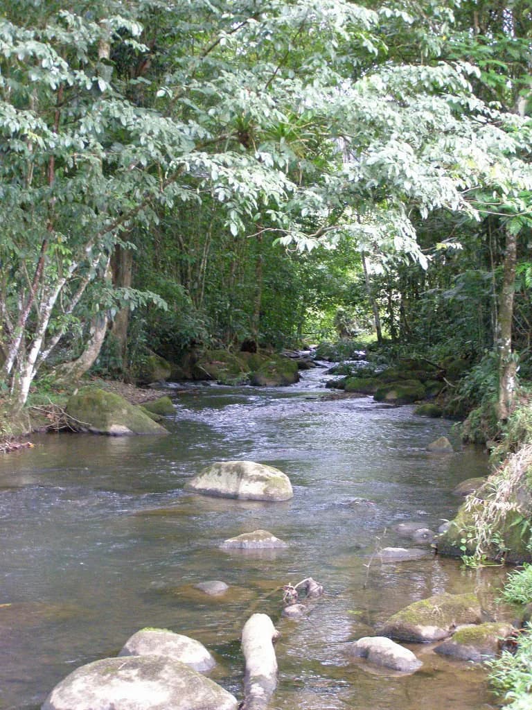 ECO SENDEROS: PRIVATE RAINFOREST RESERVE | 33 HA, LA VIRGEN DE SARAPIQUÍ - photo 9
