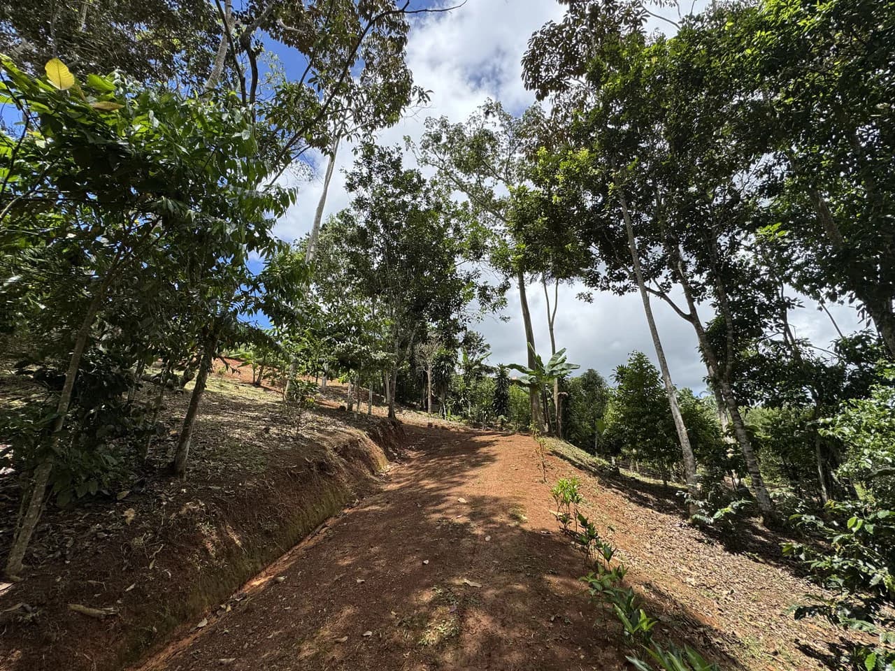Prime 40,000 Sq. Ft. Building Lot with Mountain & Valley Views in Pérez Zeledón - photo 6