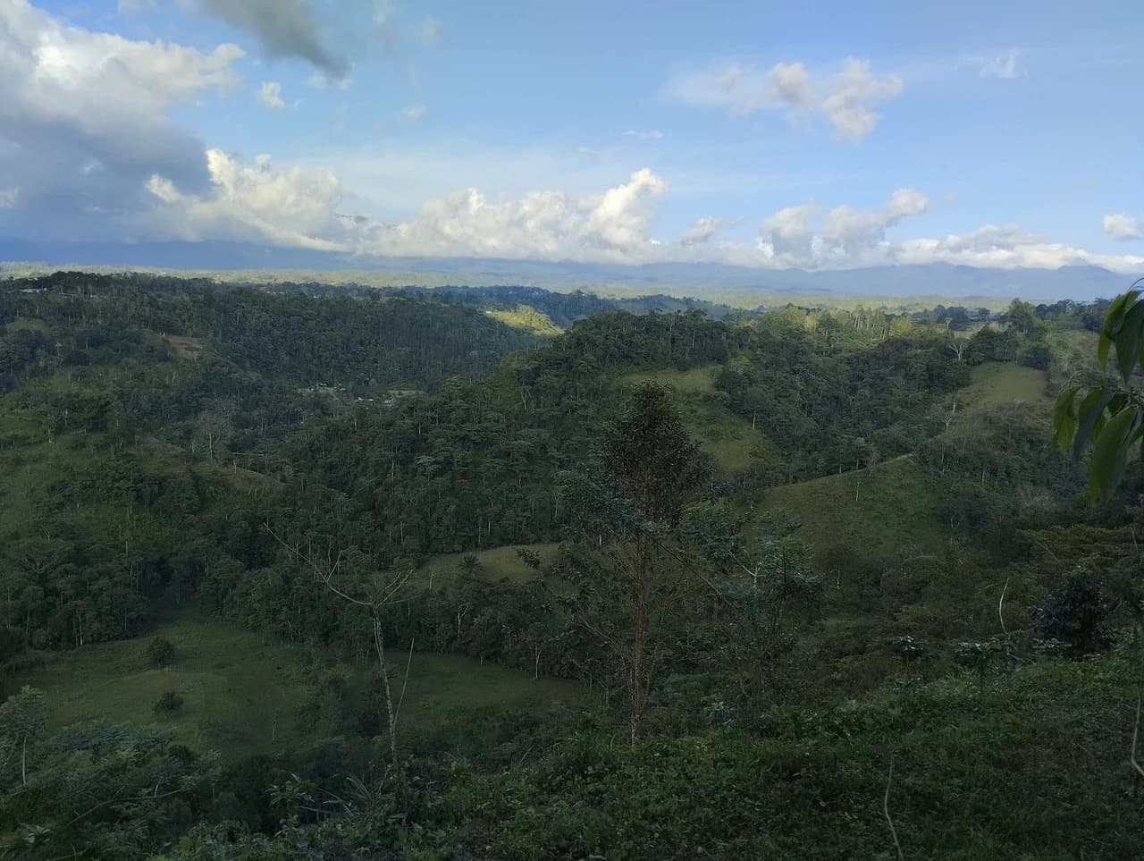 Charming Private Mountaintop home in the perfect climate of San Vito Coto Brus, San Isidro-Perez Zeledon, San Vito, San Jose, Costa Rica - photo 29