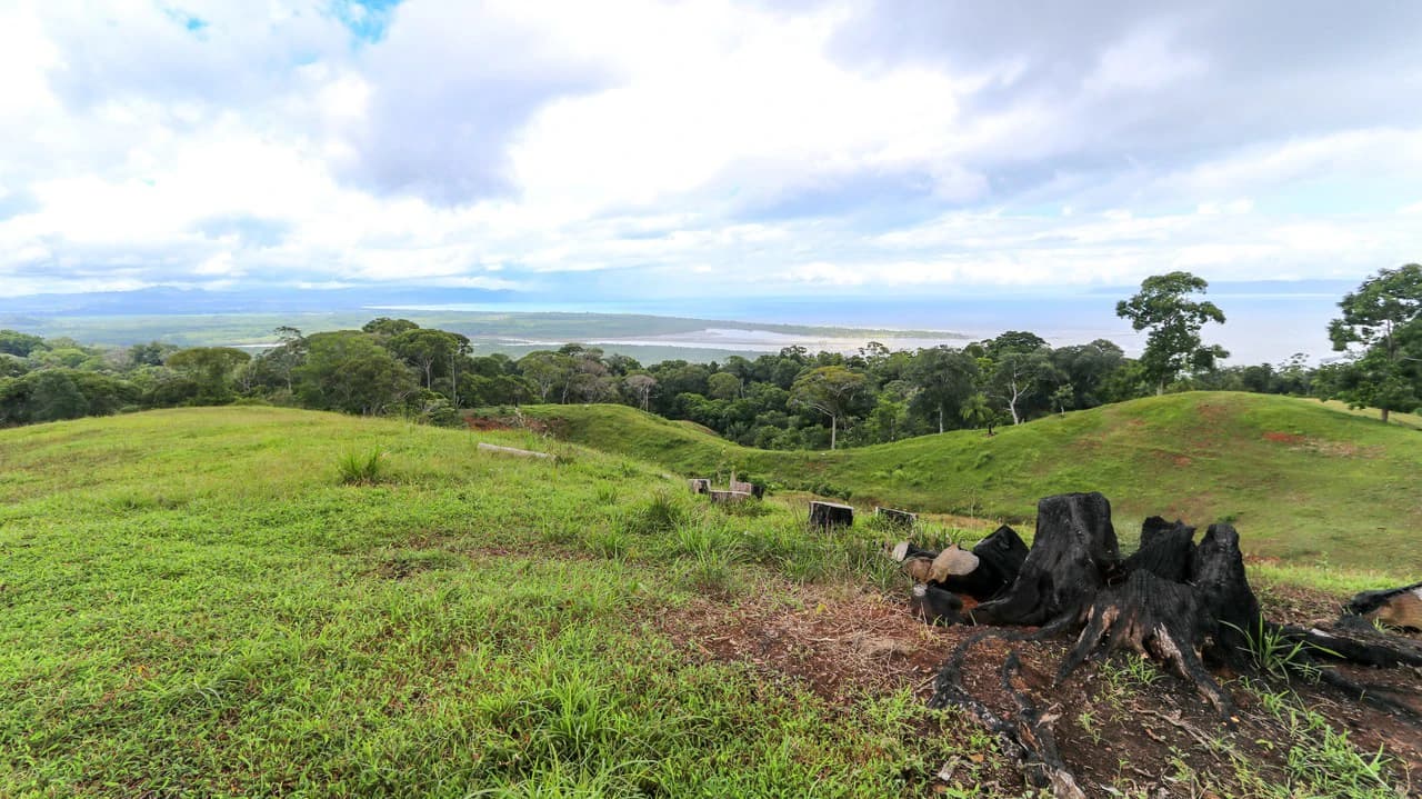 Unique Development Property Overlooking the Pristine Golfito Bay and Golfo Dulce - photo 20
