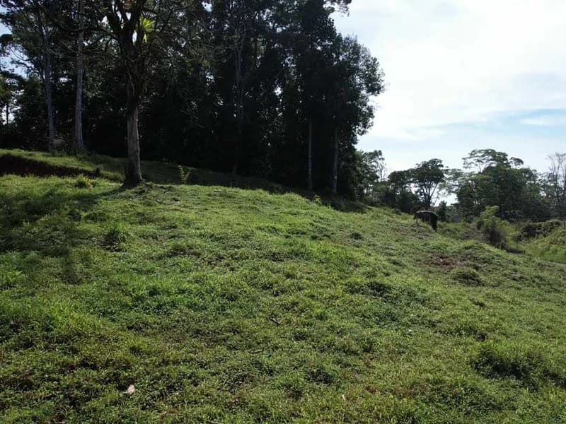 69.16 Acres Property | Mountain & Top Ocean View with Small Home - photo 13