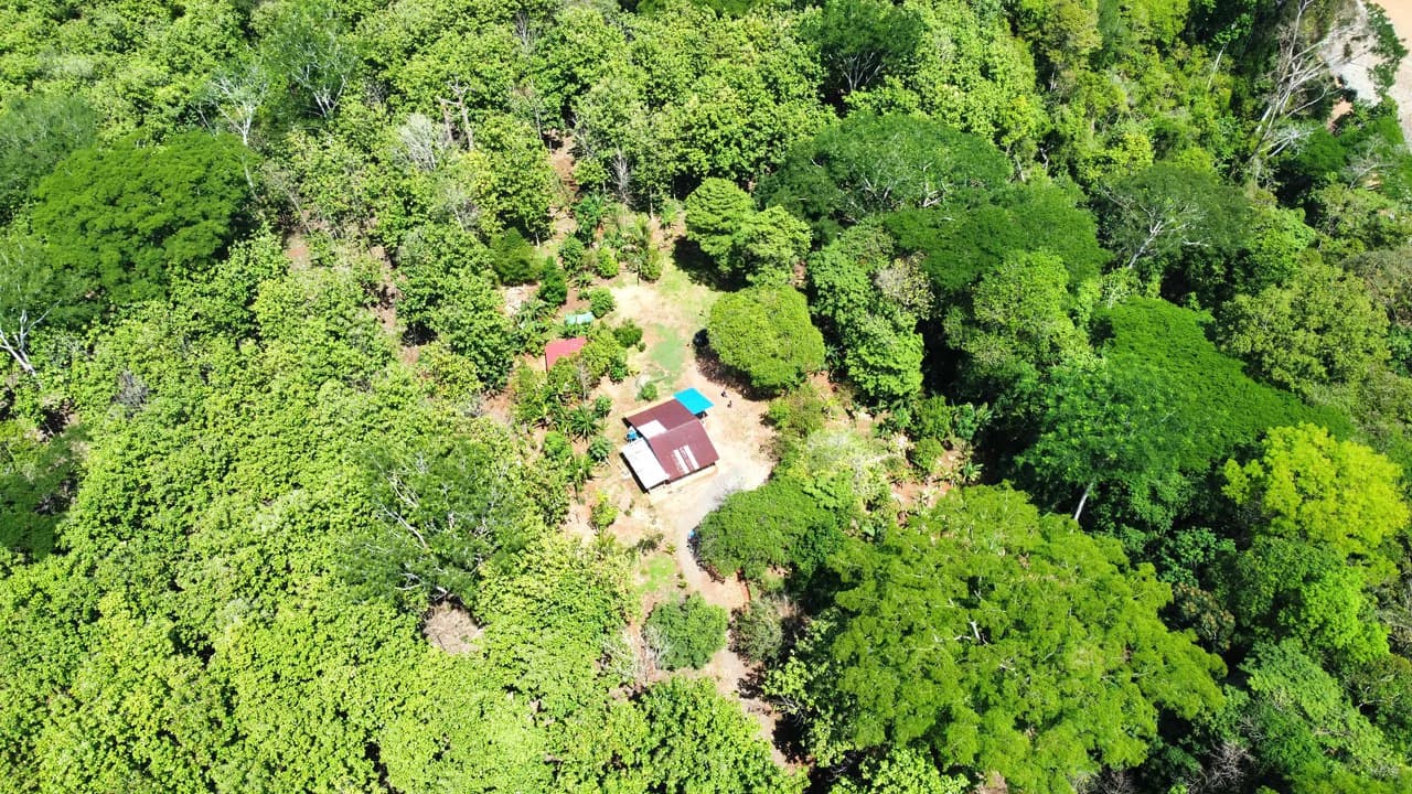 7-Hectare Farm with Teak Plantation, Existing Home & Eco-Development Potential Near Parrita, Costa Rica - photo 8