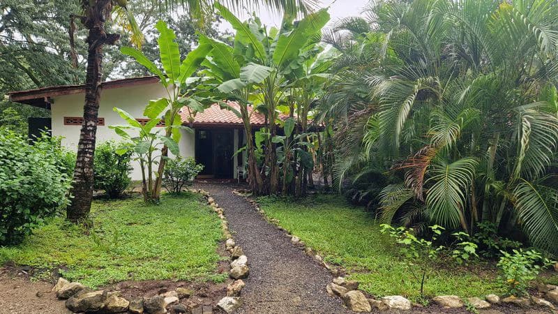 Casas Jungle: Charming Rental Compound with 5 units & pool in the heart of nature, minutes from Samara’s beaches - photo 31