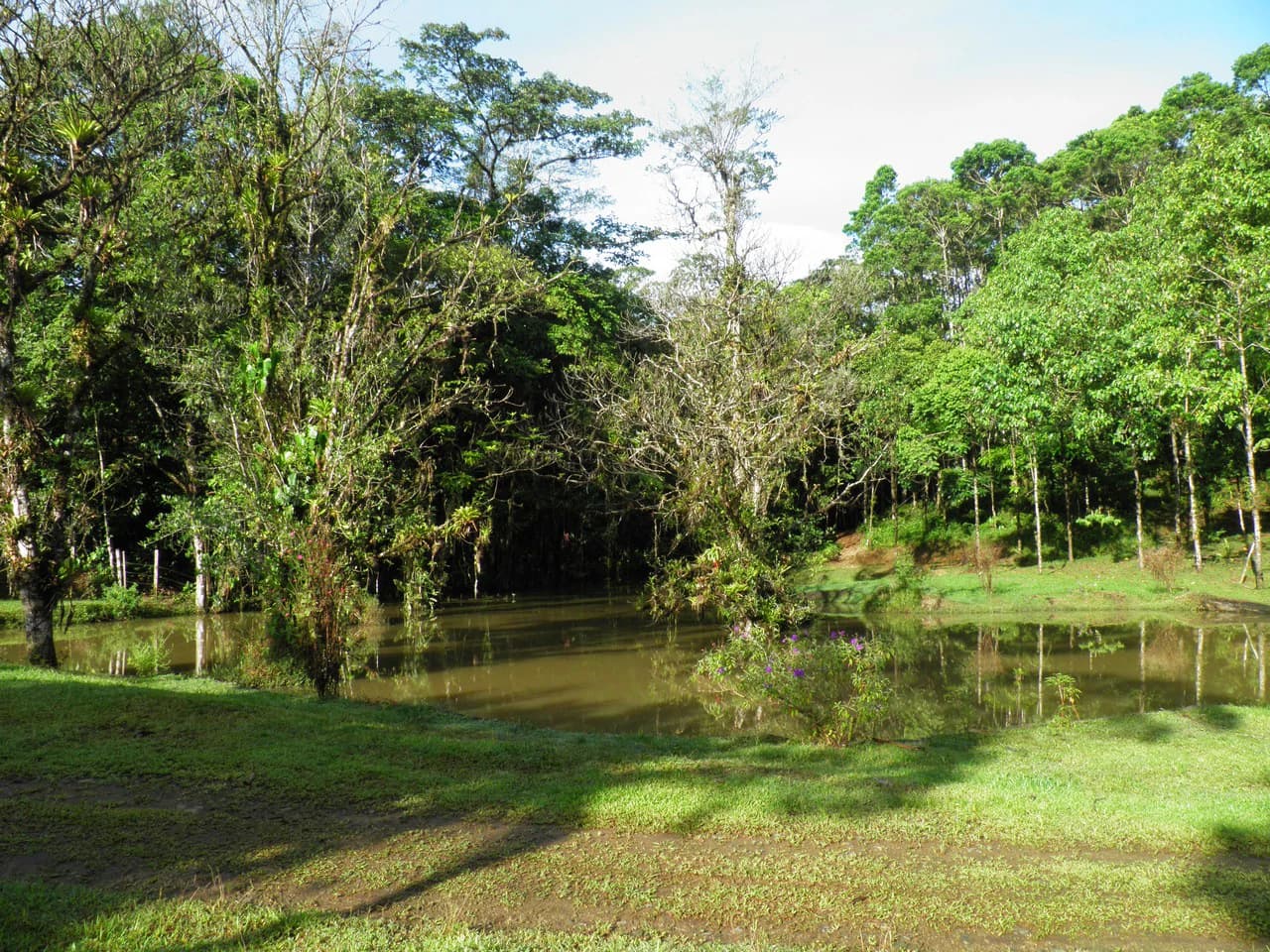 ECO SENDEROS: PRIVATE RAINFOREST RESERVE | 33 HA, LA VIRGEN DE SARAPIQUÍ - photo 7