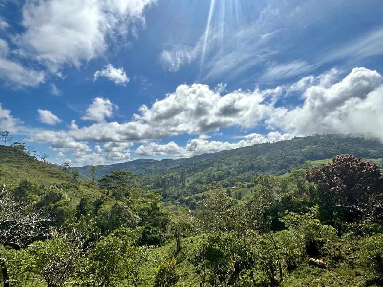 Finca Ceibo Memo: Mountain Home Construction Site For Sale in San Isidro del General - photo 43