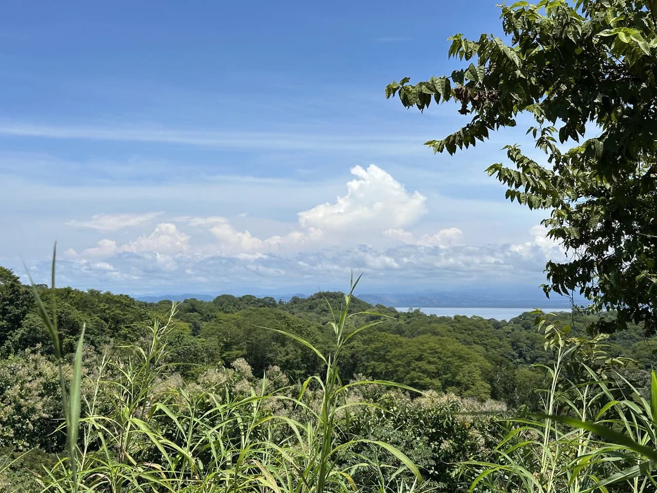 Lote by Naranjo Beach - Blue zone: Ocean View Lot By The Beach: Nicoya Peninsula - photo 3