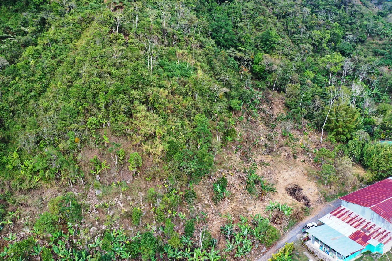 Canaan de Rivas 10 acres Above San Isidro - photo 12