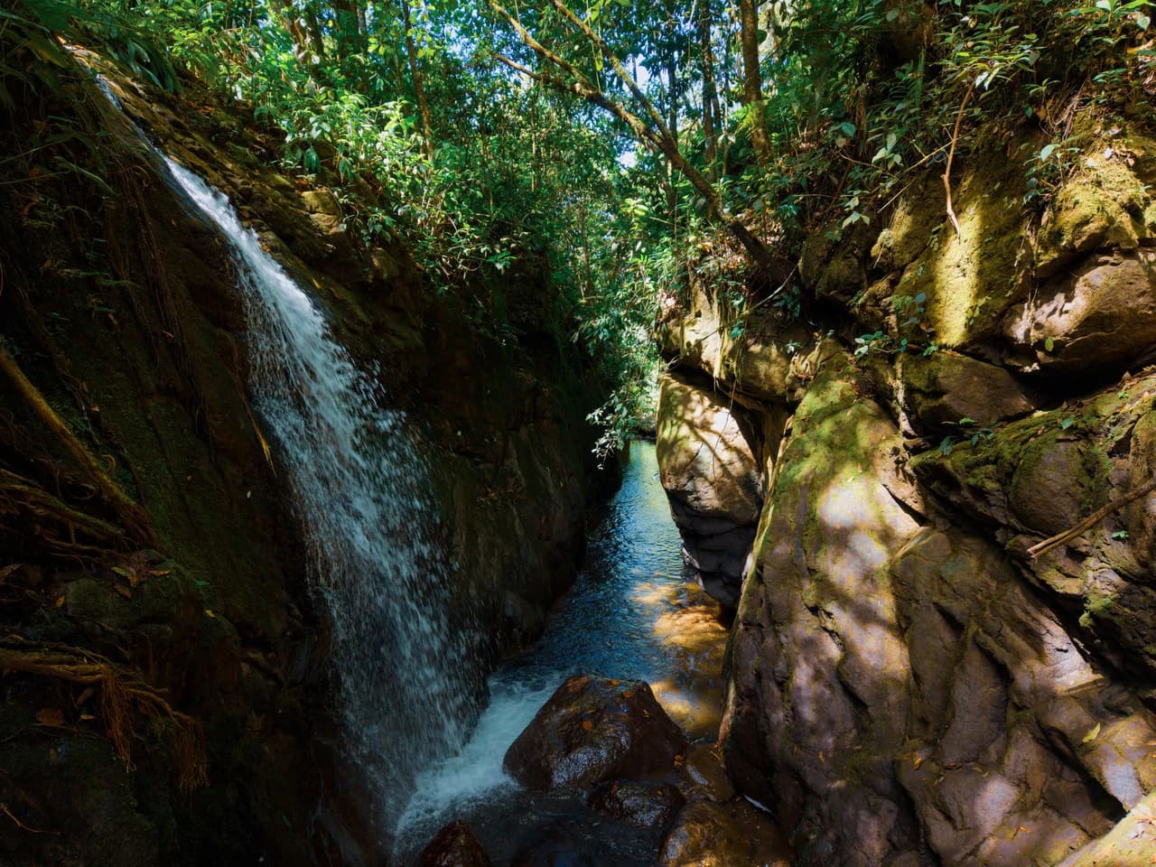 Riverfront Mushroom Farm & Private Waterfall Residence in Orosi - photo 65