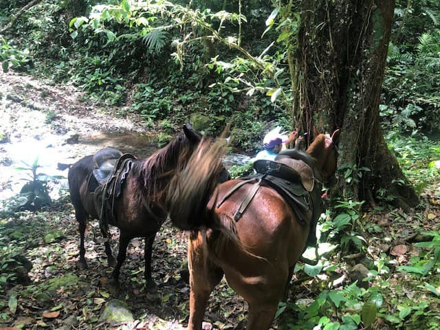 Hot and Cold Thermal Springs for Sale – Beautiful Property in Dos Ríos, Alajuela with Excellent Commercial Potential - photo 58
