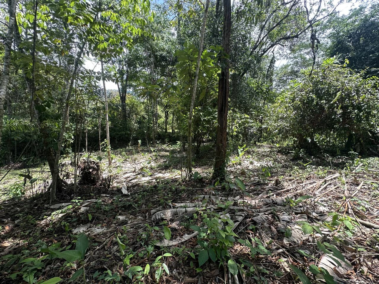 Ocean View Estate Lot with Private Waterfall – Uvita - photo 15