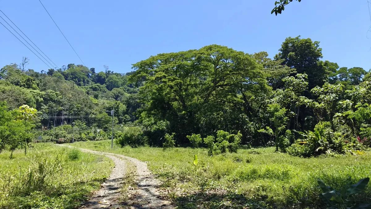 ID 924: El Cortijo: El Cortijo - Residential Lots for Sale in Hone Creek Near Puerto Viejo - photo 2